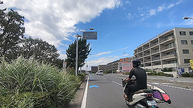 gx011545.mp4_snapshot_00.25_thumb.jpg