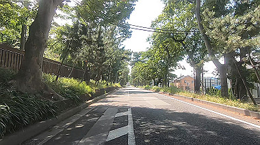 gx011556.mp4_snapshot_00.26_thumb.jpg
