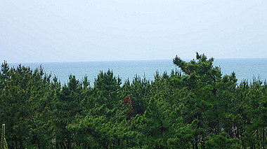 p5240289_thumb.jpg
