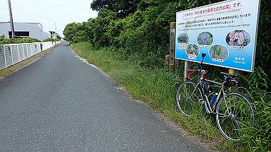 p5240297_thumb.jpg
