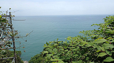 p5250313_thumb.jpg