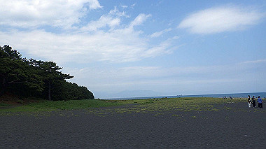 p5250353_thumb.jpg