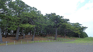 p5250355_thumb.jpg