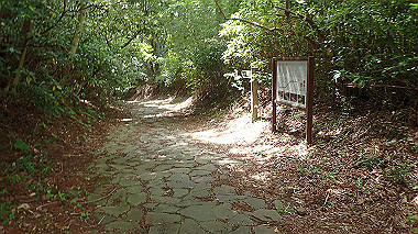 p5260379_thumb.jpg
