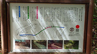 p5260380_thumb.jpg