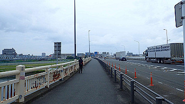 p5270435_thumb.jpg