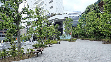 p5270463_thumb.jpg