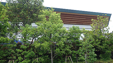 p5270466_thumb.jpg