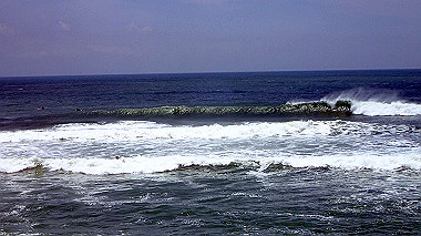p5290494_thumb.jpg
