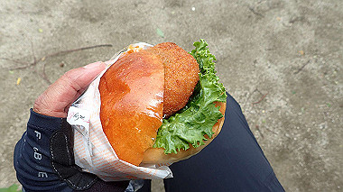 p5290497_thumb.jpg