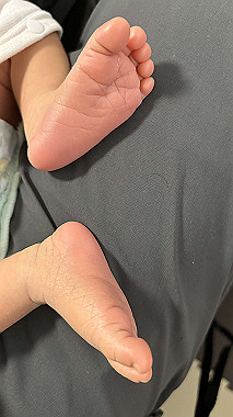 2024-06-20_16-36-12_152_thumb.jpg