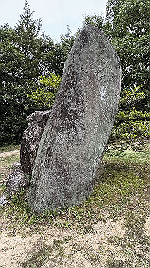 2024-06-25_15-28-03_213_thumb.jpg