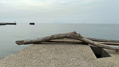 2024-06-26_09-23-19_932_thumb.jpg