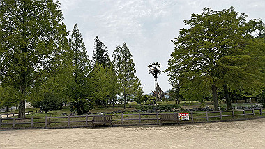 2024-06-26_09-43-53_521_thumb.jpg