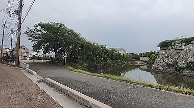 gx011575.mp4_snapshot_00.09_thumb.jpg
