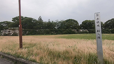 gx011576.mp4_snapshot_00.01_thumb.jpg