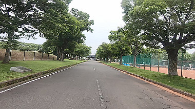 gx011577.mp4_snapshot_01.16_thumb.jpg