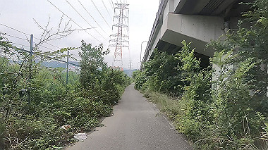 gx011581.mp4_snapshot_00.20_thumb.jpg