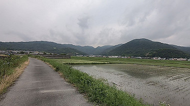 gx011583.mp4_snapshot_00.02_thumb.jpg