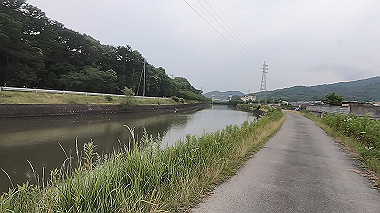 gx011583.mp4_snapshot_00.11_thumb.jpg