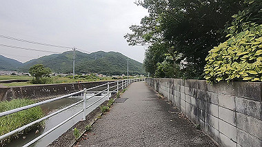 gx011606.mp4_snapshot_01.35_thumb.jpg
