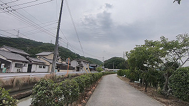 gx011621.mp4_snapshot_00.09_thumb.jpg