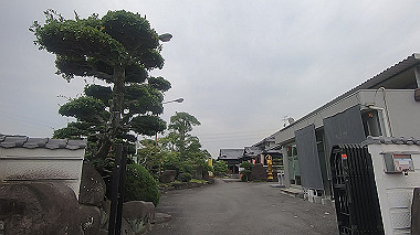 gx011621.mp4_snapshot_19.59_thumb.jpg