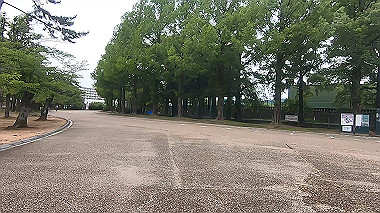 gx011634.mp4_snapshot_00.03_thumb.jpg