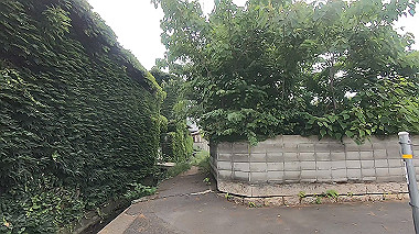 gx011636.mp4_snapshot_03.41_thumb.jpg