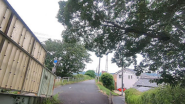 gx011638.mp4_snapshot_00.01_thumb.jpg