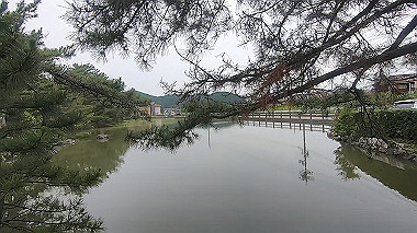 gx011640.mp4_snapshot_00.17_thumb.jpg