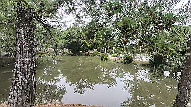 gx011640.mp4_snapshot_00.50_thumb.jpg
