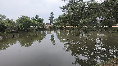 gx011640.mp4_snapshot_01.07_thumb.jpg