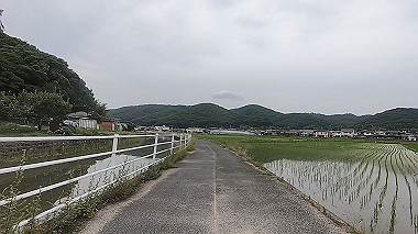 gx011643.mp4_snapshot_00.24_thumb.jpg
