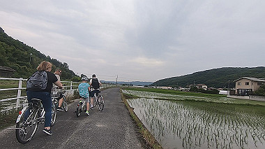 gx011643.mp4_snapshot_01.31_thumb.jpg