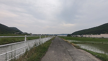 gx011643.mp4_snapshot_02.46_thumb.jpg