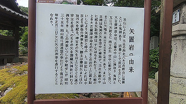 gx011645.mp4_snapshot_00.21_thumb.jpg