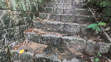gx011647.mp4_snapshot_00.01_thumb.jpg