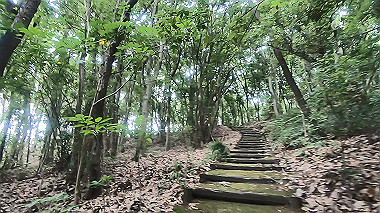 gx011647.mp4_snapshot_00.50_thumb.jpg