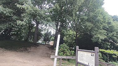 gx011648.mp4_snapshot_00.26_thumb.jpg