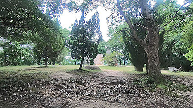 gx011648.mp4_snapshot_00.40_thumb.jpg