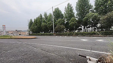 gx011661.mp4_snapshot_00.29_thumb.jpg