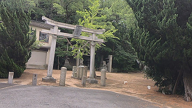 gx011686.mp4_snapshot_02.33_thumb.jpg