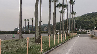 gx011689.mp4_snapshot_01.22_thumb.jpg