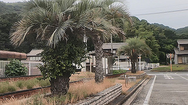 gx011690.mp4_snapshot_00.01_thumb.jpg