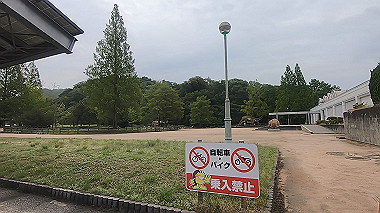 gx011708.mp4_snapshot_01.12_thumb.jpg