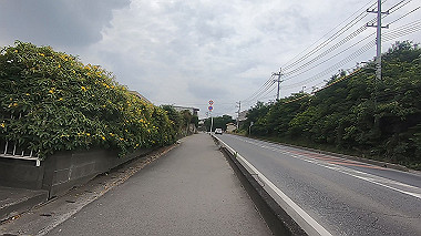gx011719.mp4_snapshot_00.19_thumb.jpg