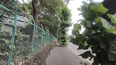 gx011722.mp4_snapshot_00.04_thumb.jpg