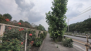 gx011722.mp4_snapshot_00.41_thumb.jpg