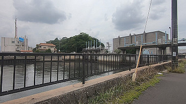 gx011724.mp4_snapshot_00.39_thumb.jpg